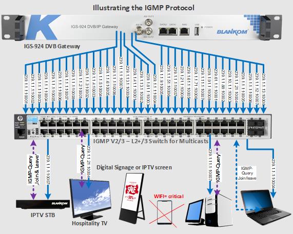 Illustrating IGMP